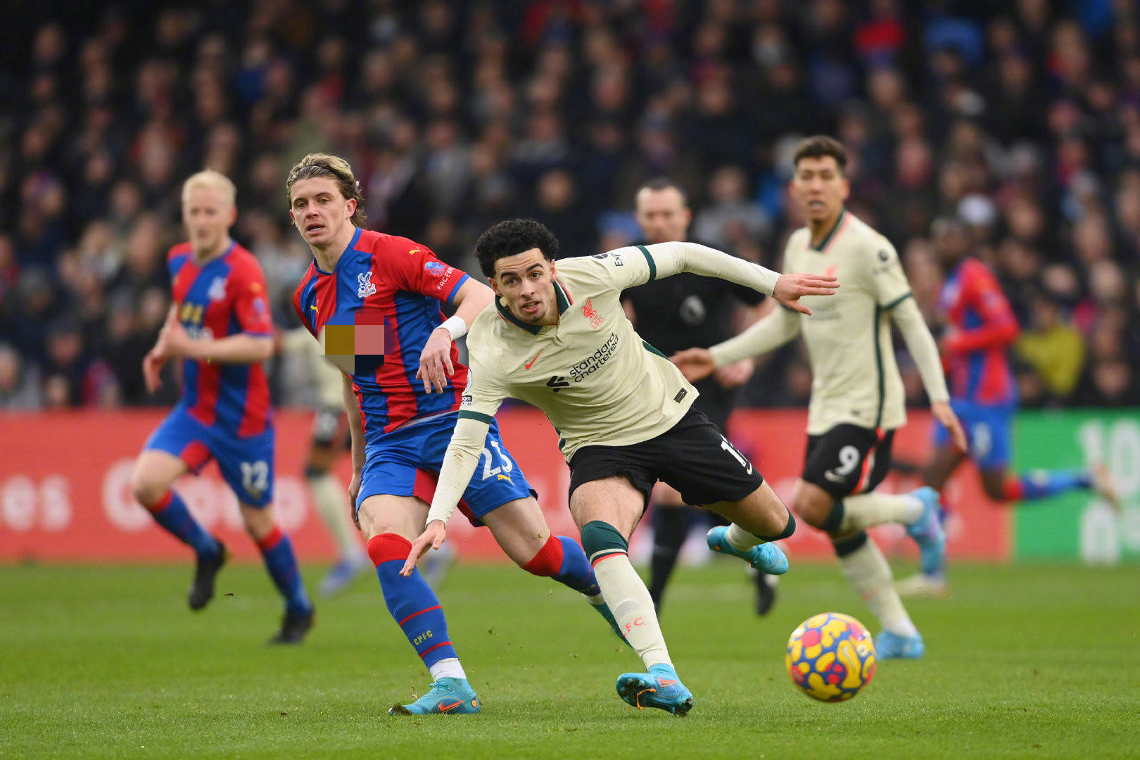 总会牵动各 总会牵动各